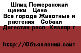 Шпиц Померанский щенки › Цена ­ 25 000 - Все города Животные и растения » Собаки   . Дагестан респ.,Кизляр г.